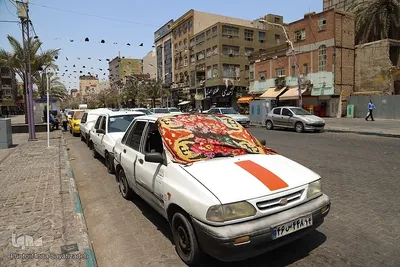 زندگی در دمای 50 درجه