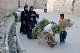مادران ایل