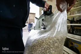 بازار گرم آجیل پزها در آستانه عید نوروز 