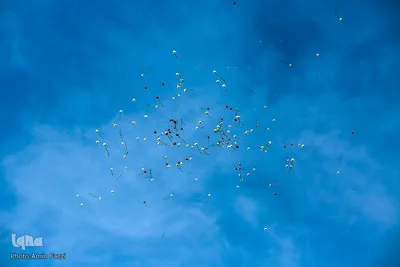 مراسم یوم الله ۲۲ بهمن در شیراز