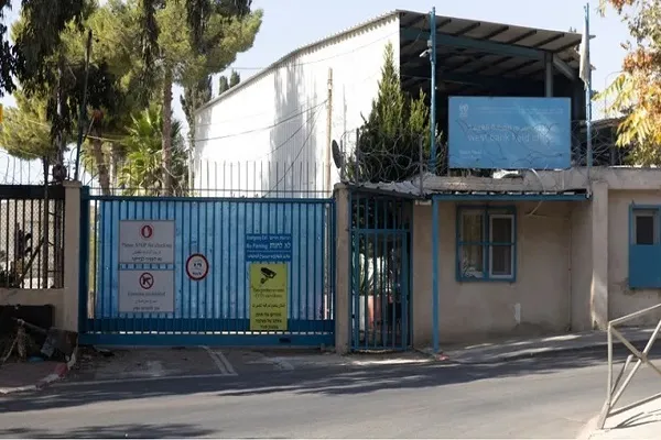 منظمة 