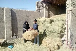 از دغدغه خوردن یک وعده نان تا دامداری پنج هزار متری