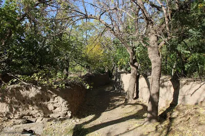 پاییز خراسان جنوبی