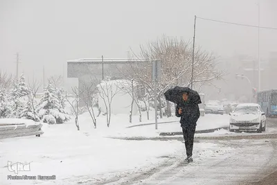 هوای برفی تهران