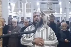 Le chat et le tarawih : les images font le tour du monde
