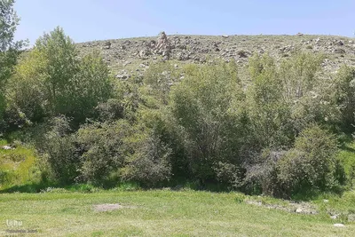طبیعت بهاری روستای کسانق اهر