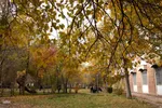 طبیعت پاییزی تبریز