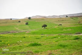 پیوند انسان و طبیعت در اندیکا