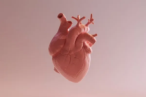 Meanings of Heart in Quran