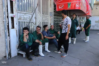 ذبح و توزیع گوشت قربانی بین نیازمندان در تبریز