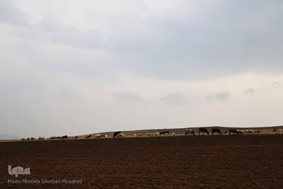 طبیعت پاییزی مناطق روستایی اهر