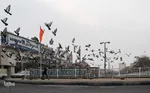 چهارراه کبوترها‎‎