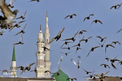 قبرستان بقیع در مدینه منوره