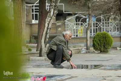 زیارت اهل قبور در آخرین پنجشنبه سال در قزوین‎‎