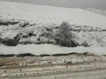 بارش برف در ارتفاعات اهر