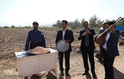 جشنواره پسته آذرشهر‎