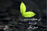 خدمت به مردم سهم مهمی در افزایش آرامش خاطر شما دارد