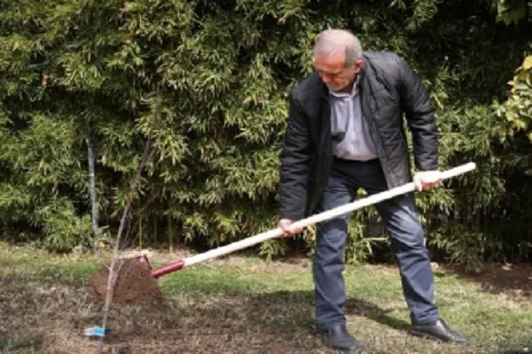 مردم با مشارکت در کاشت درخت به بهبود محیط زیست کشور کمک کنند