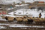بارش برف پاییزی در ارتفاعات و مناطق روستایی اهر
