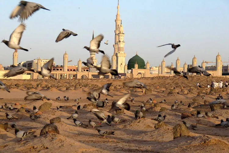 بقیع؛ تجلی واقعی غربت