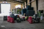 صادرات سیر؛ محصول پرخاصیت و معروف همدان