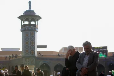 دسته های عزاداری در سوگ شهادت امام هادی(ع)
