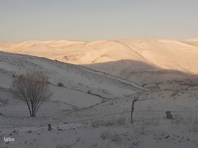 طیبعت برفی امروز در مناطق شهری و روستایی اهر