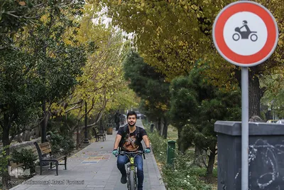 آلودگی شهر تهران، دوشنبه ۱۱ آذر