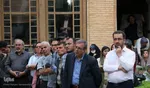 شب جلال الدین همایی‎‎