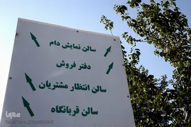 بازار عرضه دام سبک «آزادگان» شهرداری تهران در عید سعید قربان