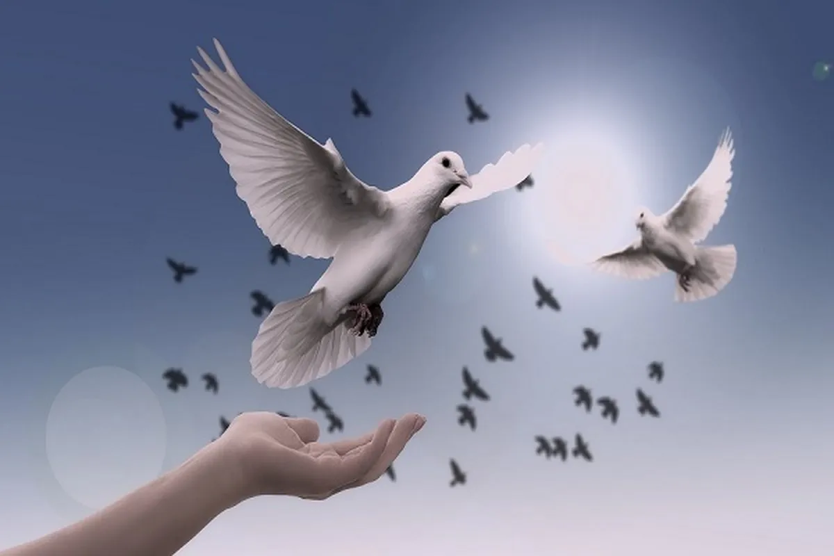 Quran, Prophet Teachings Signify Islam’s Emphasis on Peace