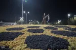 جشنواره انگور ارومیه