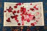 فیلم | آموزش مفردات قرآن واژه «اَبّ»
