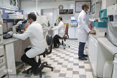 فداکاران سپیدپوش