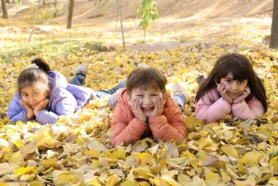 طبیعت پاییزی تبریز