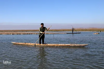 تالاب شادگان