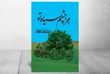انتشار جلد پنجم حماسه سجادیه به روایت «جز چشم سیاه تو»