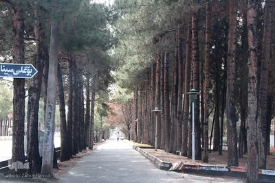 بیرجند پس از باران