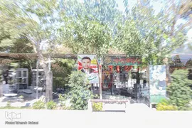 روایت نور و شهدا
