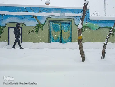 تشدید بارش برف در شهرستان اهر