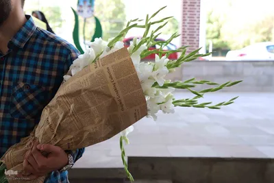 میثاق با شهدای جهاددانشگاهی