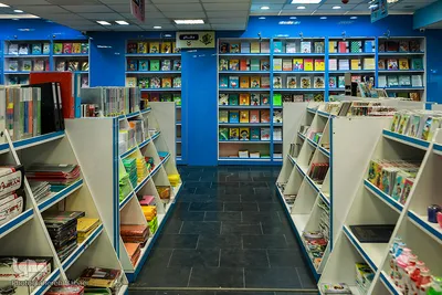نمایشگاه الگو نما