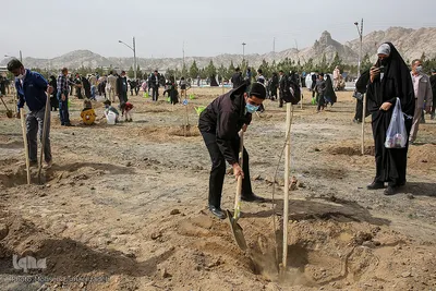 پویش سراسری درختکاری - مشهد
