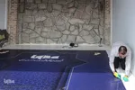 آماده سازی نمایشگاه قرآن