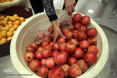 یلدای شیرین ۲۰۰۰خانواده طرح «هم نمک» مؤسسه خیریه متوسلین به امام رضا(ع)