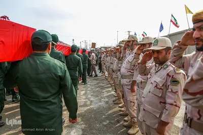 بازگشت لاله‌ها به آغوش وطن