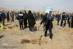 پویش سراسری درختکاری - مشهد
