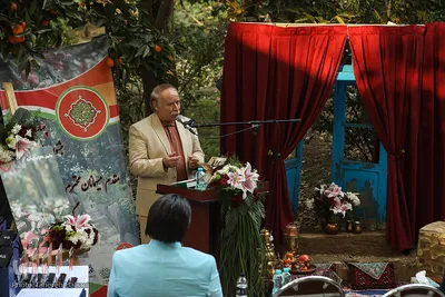 چهارمین جشنواره خرمالوی کن