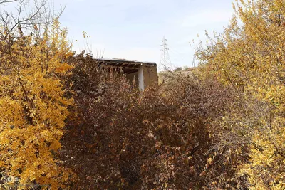 رنگین‌کمان رنگ‌ها در سرزمین ارسباران