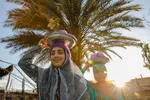 برداشت گیاه دارویی خارپنیری در استهبان فارس